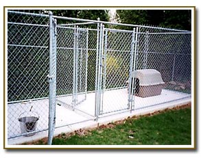 dog kennel with fence