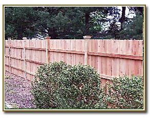 Cedar fence