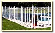 Aluminum Fence