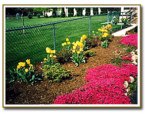 Chain Link fence - residential