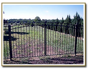 Delgard Arched Gate