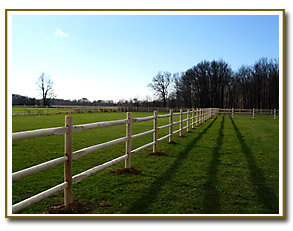 Horse Fencing