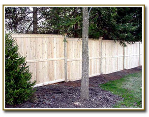 Solid Tongue Groove fence